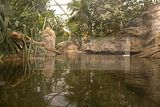 leipzig zoo-01_07_2011_gondwanaland_165